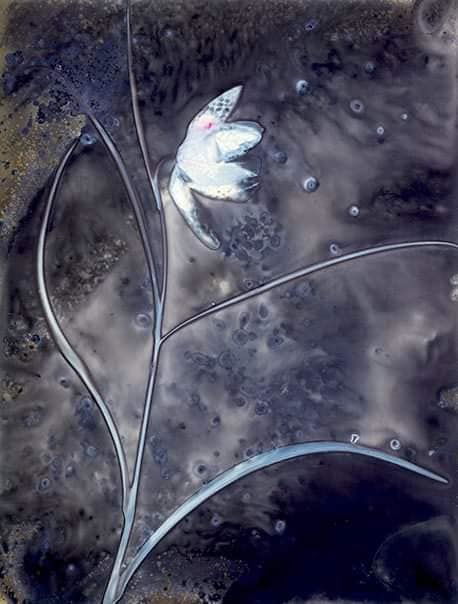 Untitled - Sarah Darke
