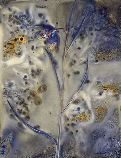 Untitled - Sarah Darke