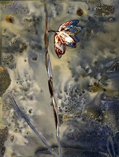 Untitled - Sarah Darke