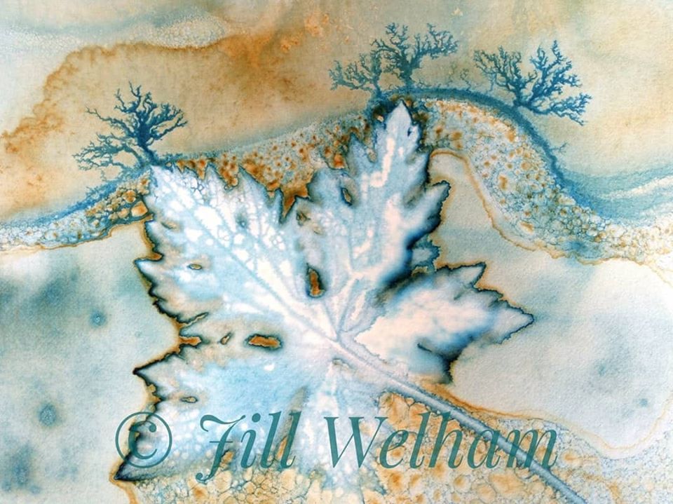 Untitled - Jill Welham