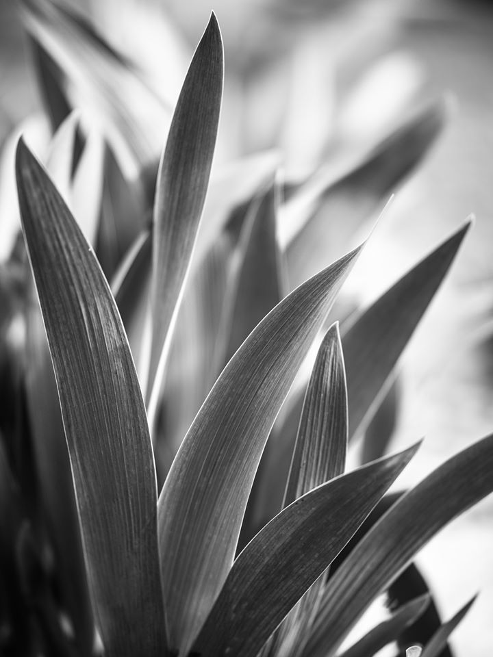 Untitled - Daniel Cook