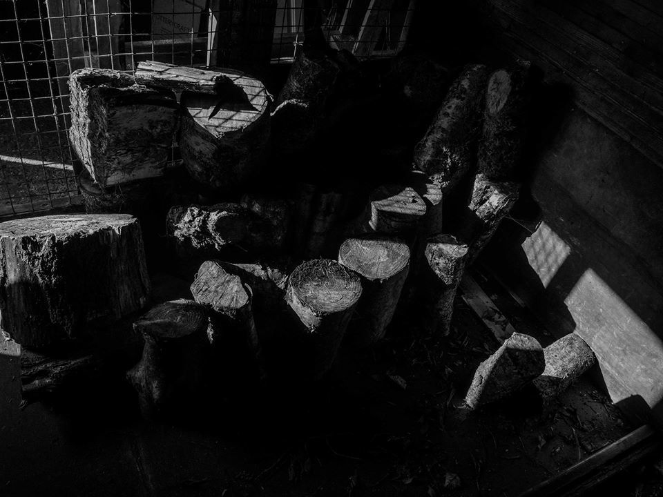 Sticks and Stones. - Tony Vandevelde