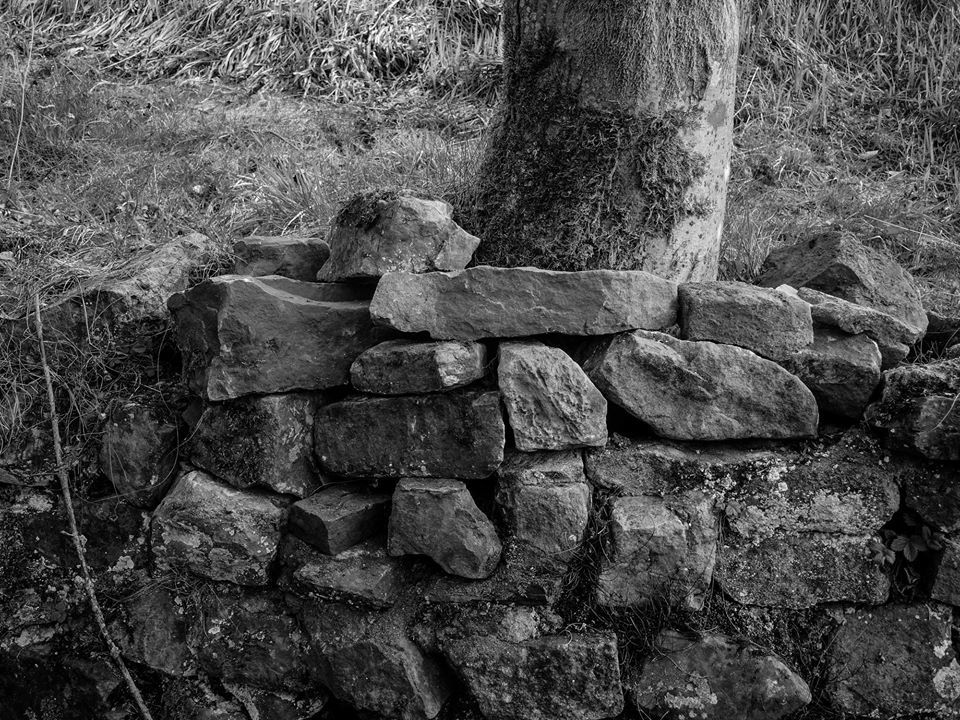 Sticks and Stones. - Tony Vandevelde