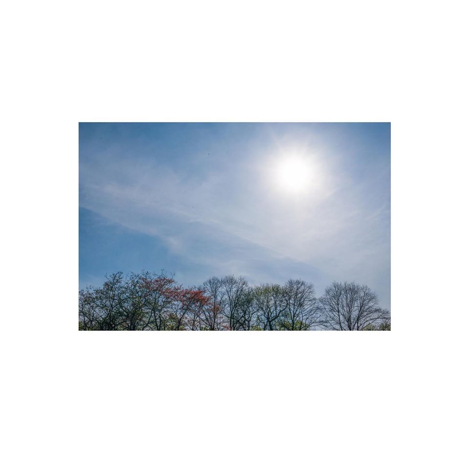 Alexandra Park  - Kassa Kurran