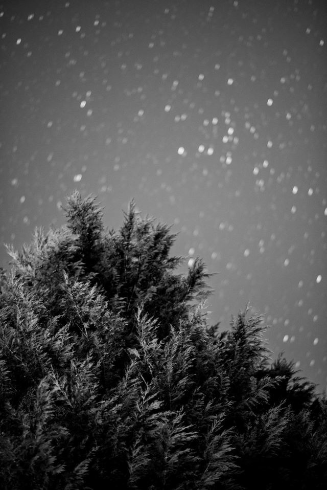 Untitled -  Tony Vandevelde