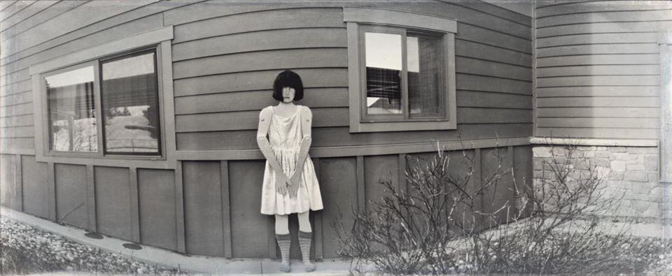 Untitled - Diane Peterson