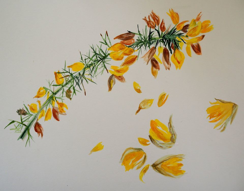 Untitled - Annabel Hill