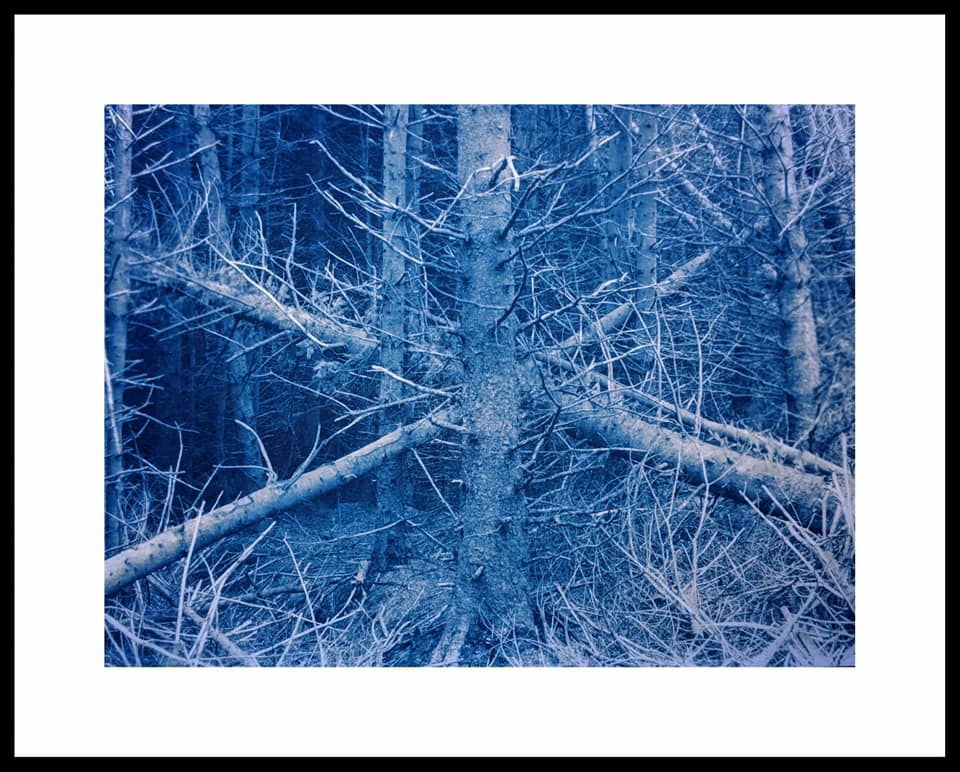 Untitled - robin Jones