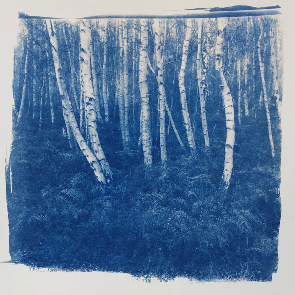 untitled - robin Jones