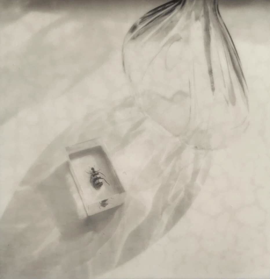 Meredith Wilson