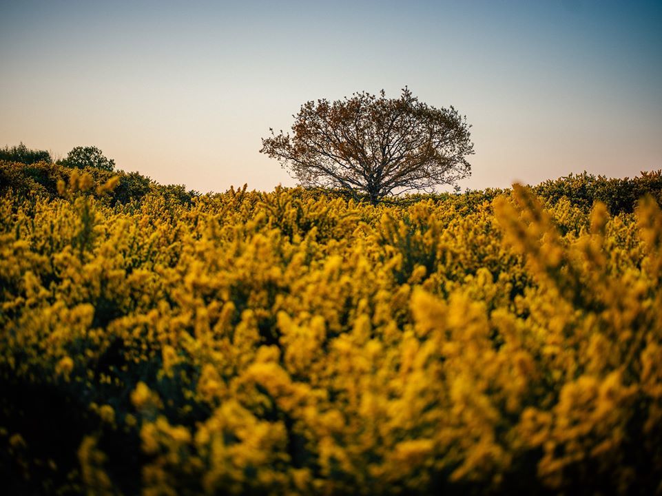 Untitled - Daniel Cook