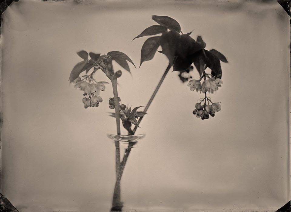 Untitled - Hank Peters