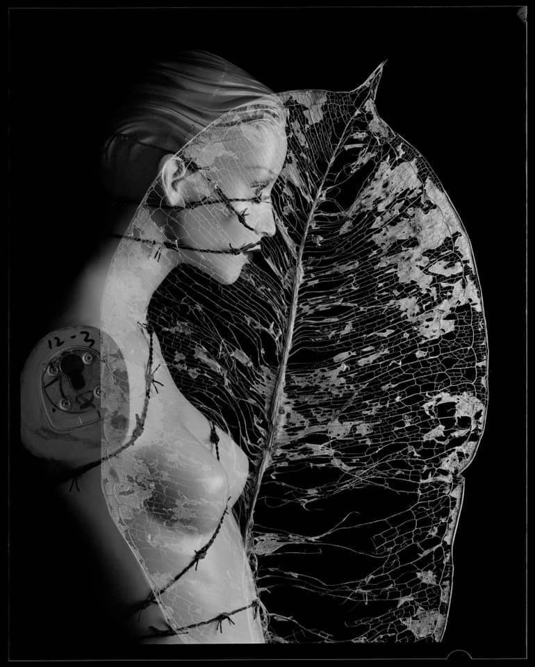 “Two”  - Dave Shrimpton