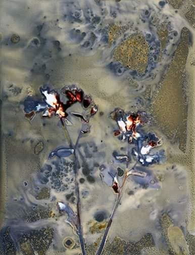 Untitled - Sarah Darke
