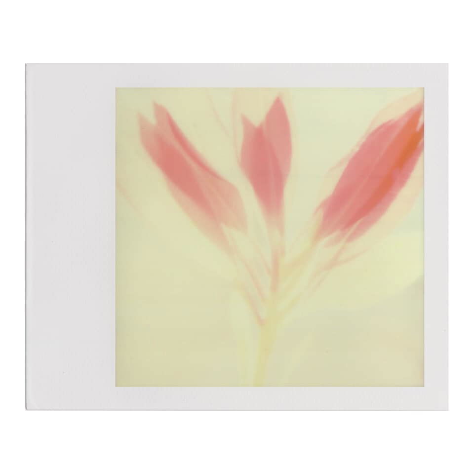 Untitled - Hilary Clarke