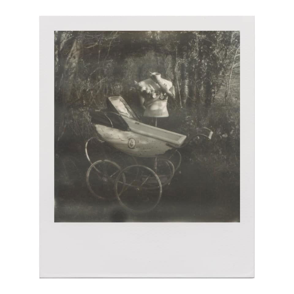Untitled - Hilary Clarke