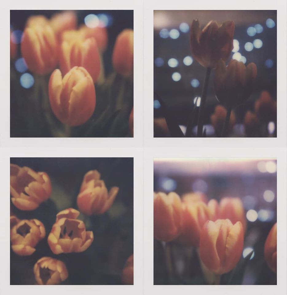 Untitled - Hilary Clarke