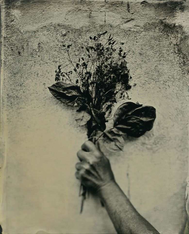 "L' Amant" - Elizerman Photography