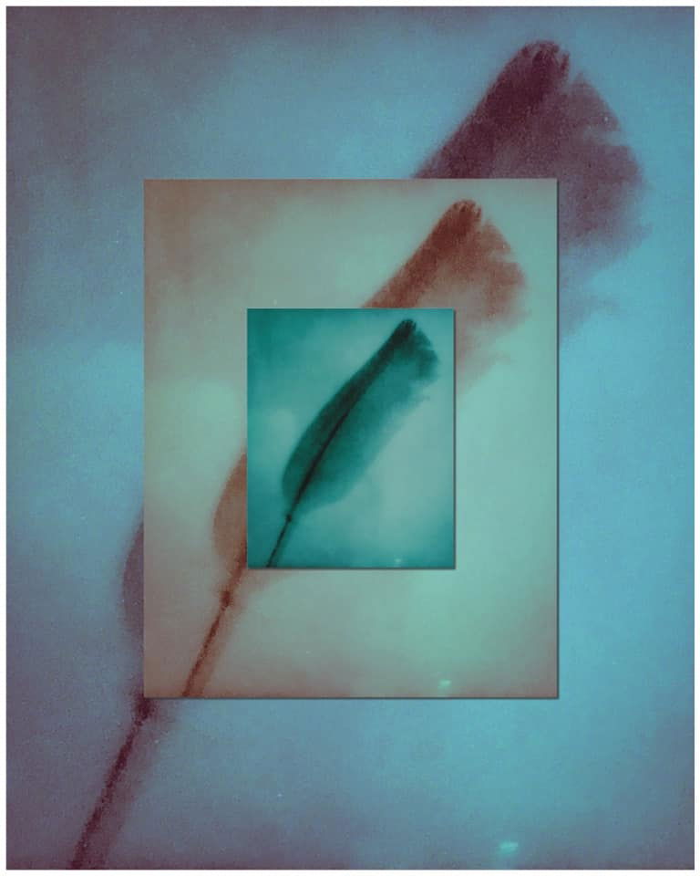 Phoenix - Meredith Wilson