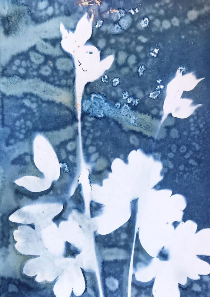 Untitled - Meredith Wilson