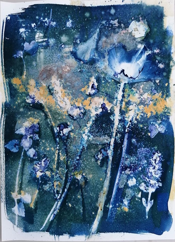Untitled - Iv Novak Mihaly