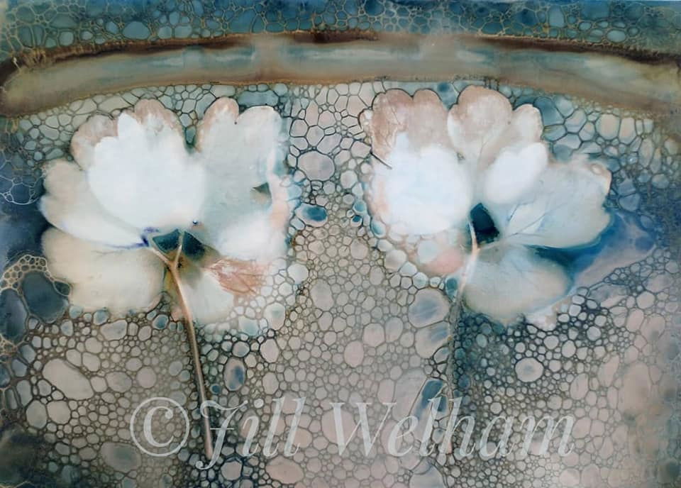 Untitled - Jill Welham