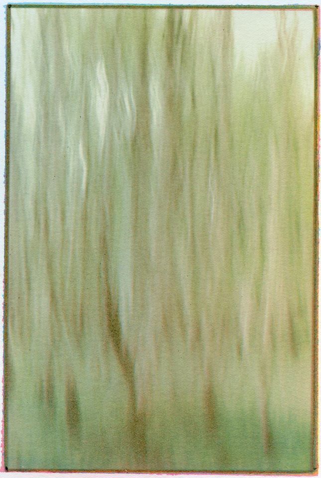 Trees - John Brewer