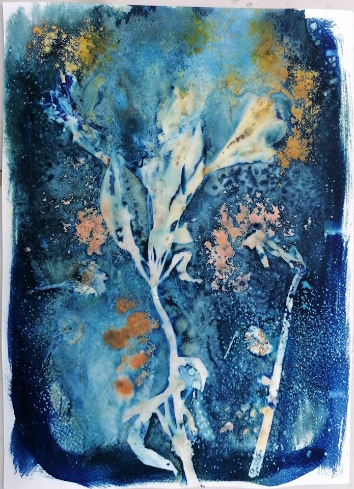 Untitled - Iv Novak Mihaly
