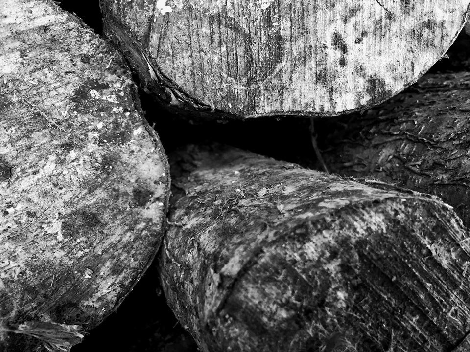 Untitled - Toby Vandevelde
