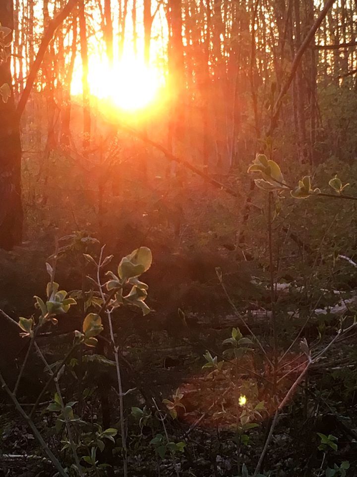 Evening wanderings. No people. - Lauren Ashley-Irvine