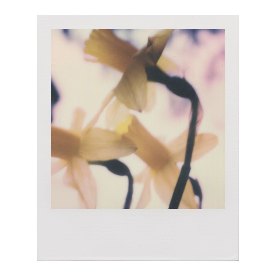 Untitled - Hilary Clarke
