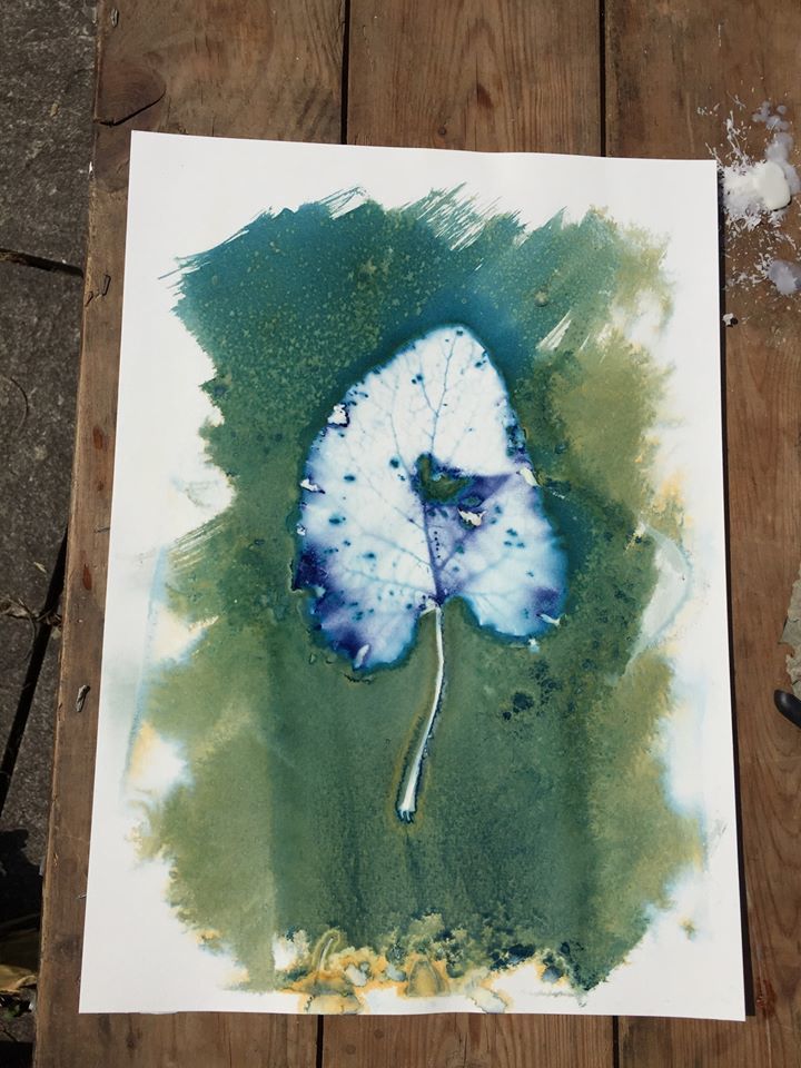 Dock Leaf with water and vinegar. A3.  - Toby Vandevelde