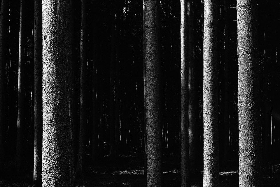 Untitled - Lee Irvine