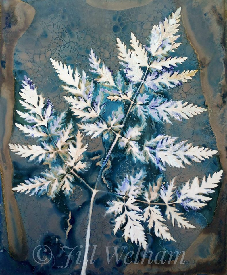 Untitled - Jill Welham