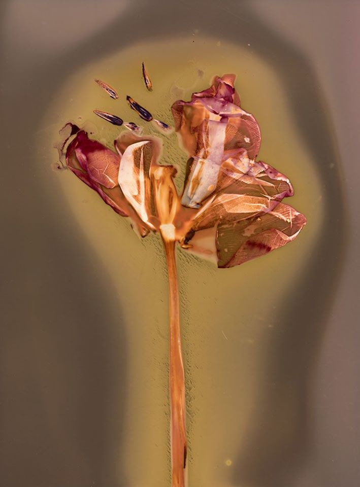 Untitled - Ksenija Spanec