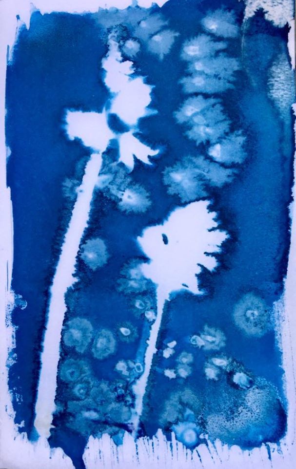 Untitled - Emma Brown