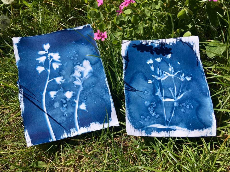 Untitled - Emma Brown