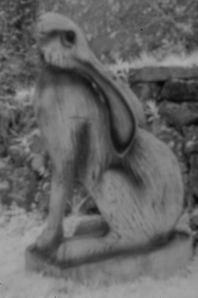 Chainsaw Carved Hare. - Toby Vandevelde