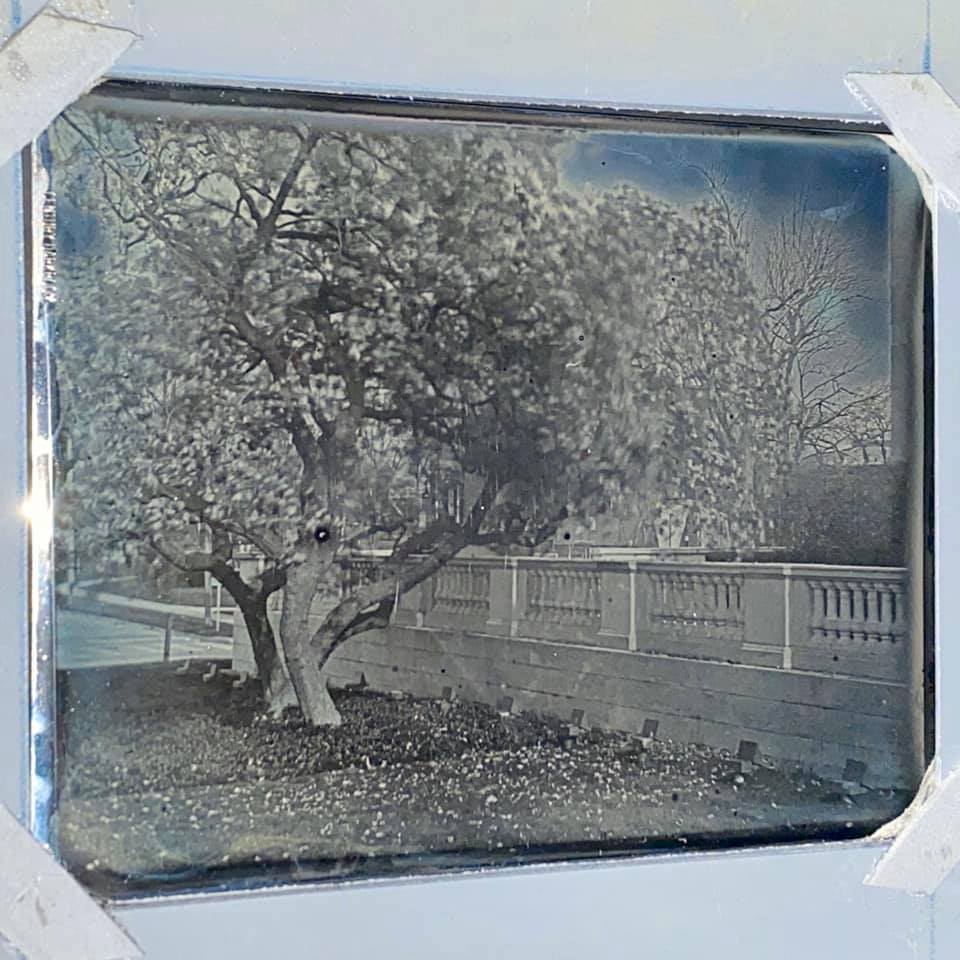 Untitled - Greg Martin