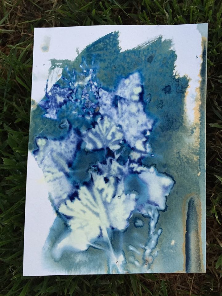 Untitled - Toby Vandevelde