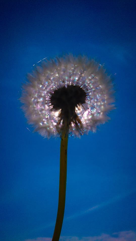 Untitled - Emma Wheeler