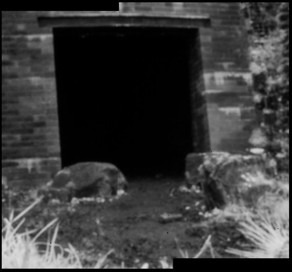 Untitled - Toby Vandevelde