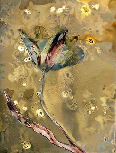 Untitled - Sarah Darke