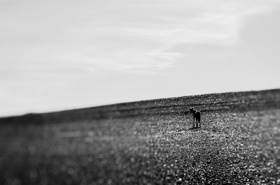 Untitled - Toby Vandevelde