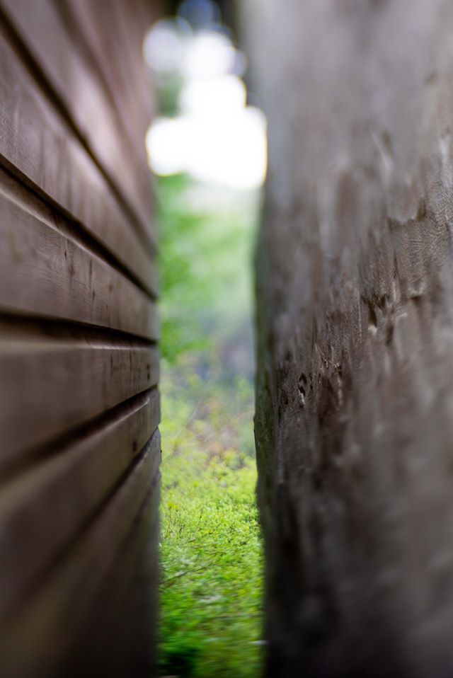 Untitled - Toby Vandevelde