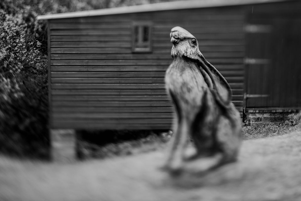 Untitled - Toby Vandevelde