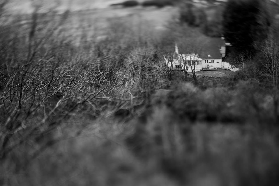Untitled - Toby Vandevelde