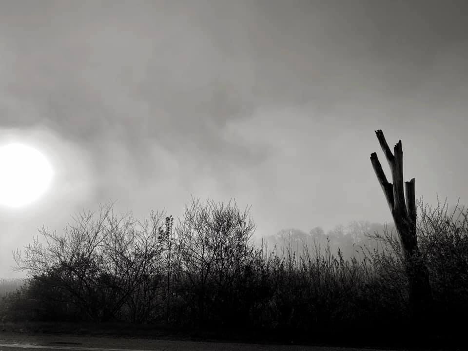 Untitled -  Greg Martin