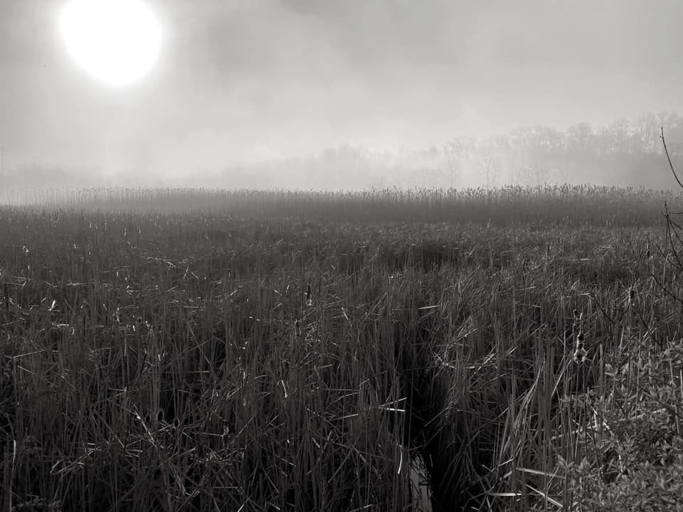 Untitled -  Greg Martin