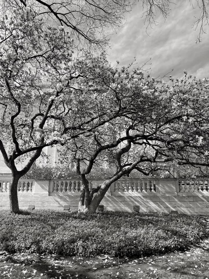 Untitled -  Greg Martin